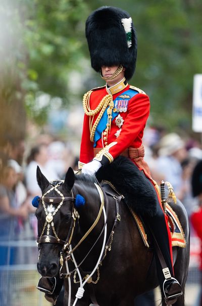 Prince William, the Prince of Wales