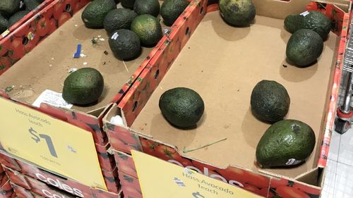 People panic buying avocados in Broadway Shopping Centre, Sydney.