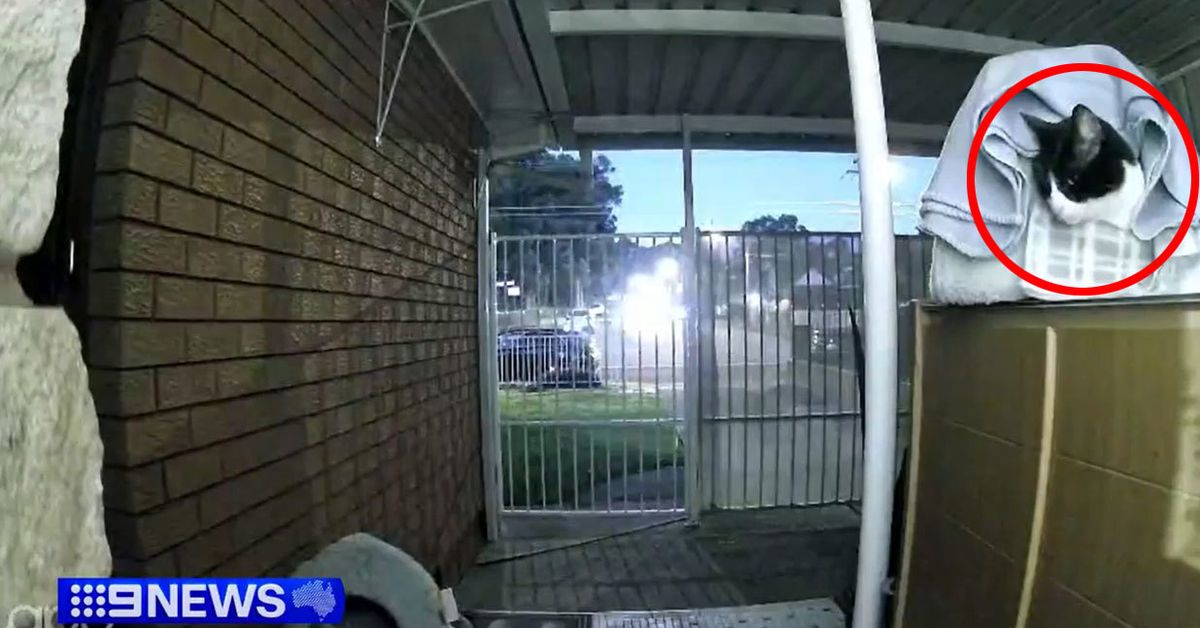 Sydney family's shock as out-of-control car smashes into home