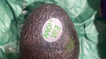 The stickers will indicate which avocados are ripe to be eaten.