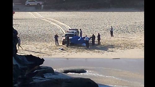 Surfer killed at Sydney beach