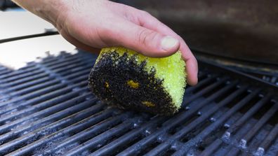 The game changing sponge that'll have you cleaning more than just the dishes