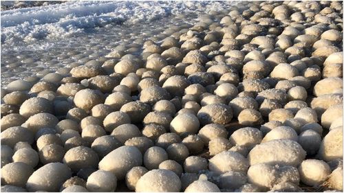 Ice balls, like these ones, form when turbulent water near the shore breaks up a layer of slushy ice, according to CNN Weather.