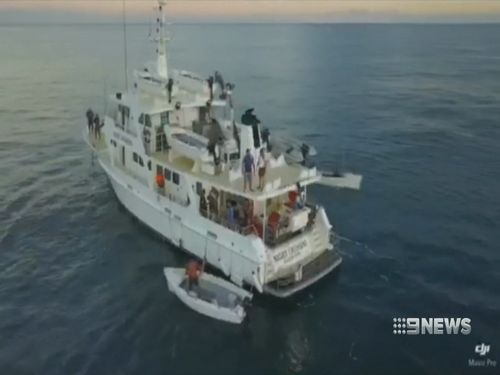 The MV Night Crossing is a purpose-built vessel. (9NEWS)