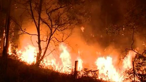 Callala Bay bushfire: Uncontained blaze burning on NSW South Coast