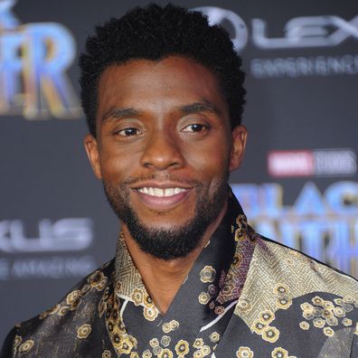 Chadwick Boseman, Hollywood premiere, Black Panther, 2018