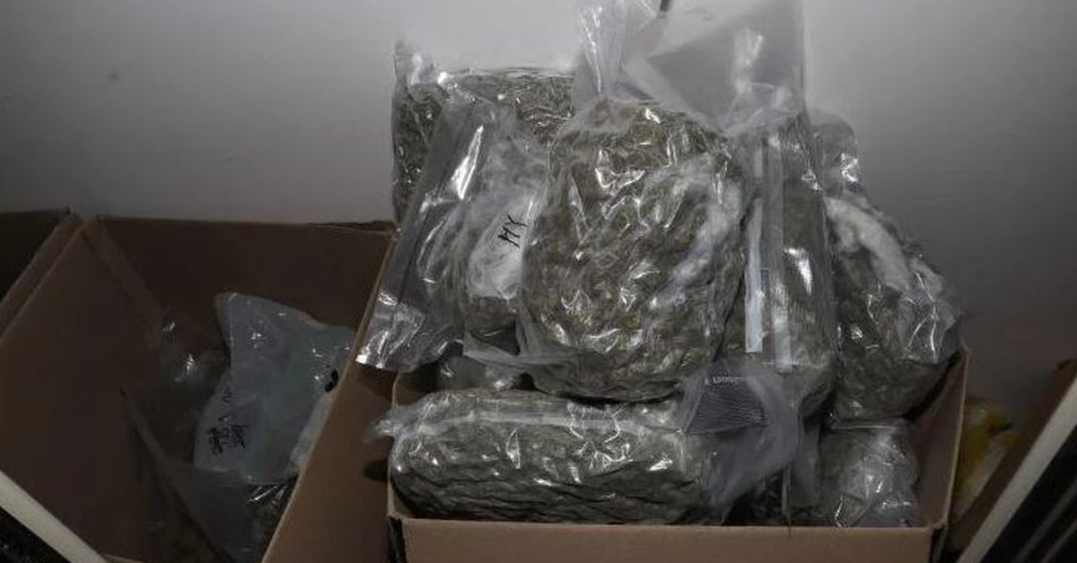 Four charged after police allegedly uncover $500,000 cannabis haul at ...