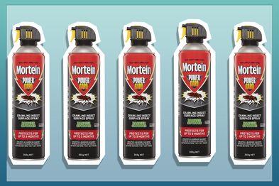 9PR: Mortein Powergard Crawling Insect Surface Spray Barrier Outdoor, 350g