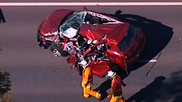 Adelaide crash