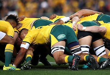 What number does the scrum-half wear on their jersey in rugby union?