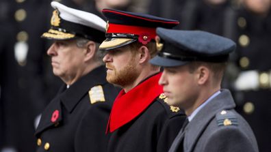 Beard could prevent Harry wearing his Blues and Royals uniform, historian  warns