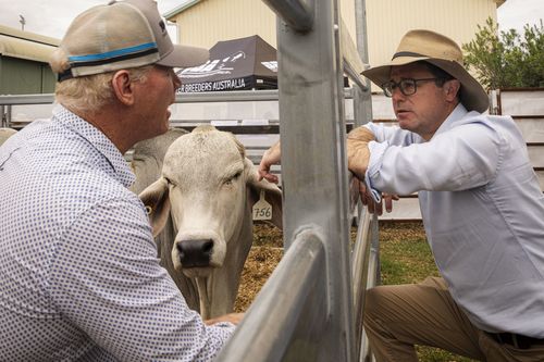 Nationals Leader David Littleproud claims Agriculture Minister Julie Collins ignored advice from the Inspector-General of Biosecurity when she lifted a ban on beef imports from the United States.