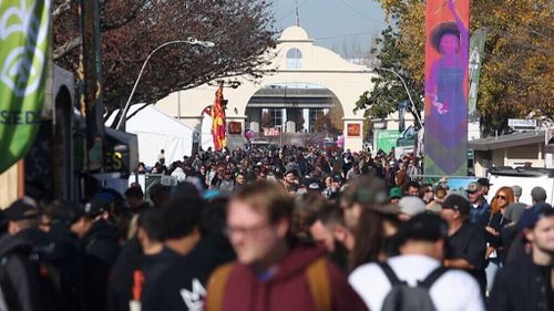 The Emerald Cup is the country's largest marijuana festival. (9NEWS)