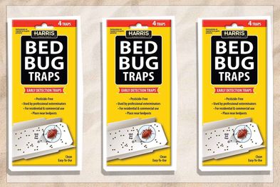 9PR: Harris Bed Bug Traps for Early Detection & Monitoring, 4 Pack