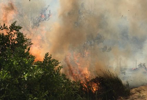 A grass fire has broken out at The Spit. (9NEWS / Brittney Kleyn)