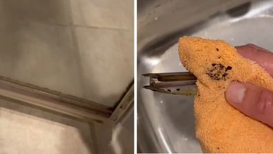 A Genius Shower Cleaning Hack: A Dish Brush