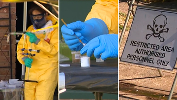 Police have unintentionally discovered what appears to be a major drug setup while raiding a home in Adelaide&#x27;s south.