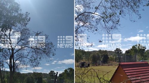 Multiple people are believed to have been shot at a rural property in Bogie near Collinsville in north Queensland.