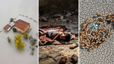 The entries for the Environmental photographer of the year competition were unveiled at the UN Climate Change Conference (COP26) in Glasgow.