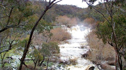 The Mullion State Forest, north of Orange, where two men allegedly shot and tortured kangaroos.