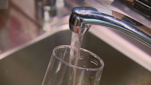 High levels of forever chemicals thought to cause cancer have been found in some catchments of Brisbane's drinking water over the last two years. South East Queensland Water (SEQ Water) has insisted the water is safe to drink and meets Australian guidelines, which are different to international standards.