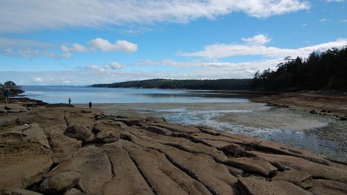 Mystery as 14th foot washes up on Canadian beach