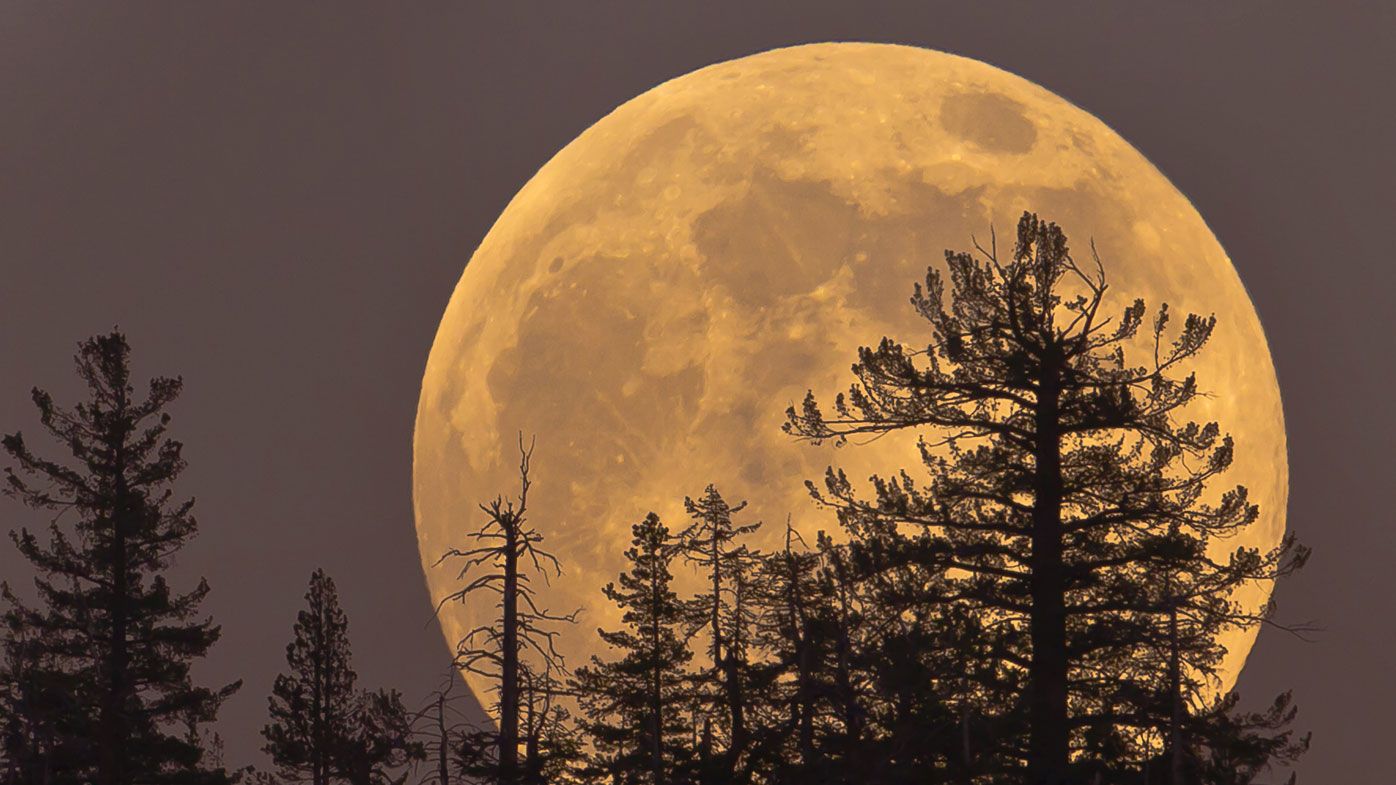 Supermoon March 2019 How To Catch A Glimpse Of The Worm Moon