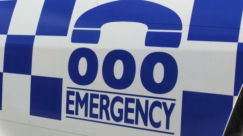 police generic