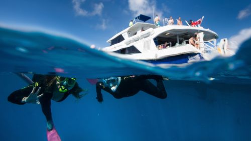 Tourists snorkel over Flynn Reef off the coast of Cairns.