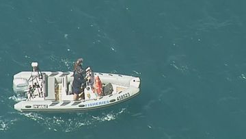 Search for surfers body near Streaky Bay in South Australia after believed shark attack