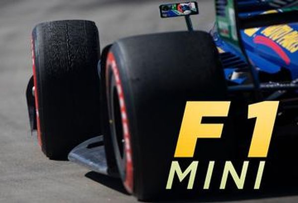 F1 Fox Mini