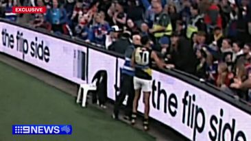 AFL fan suspended for making contact with West Coast player