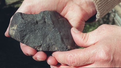 The Murchison meteorite was used in the study by scientists who found DNA molecules on meteors that landed on Earth. 