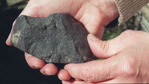 The Murchison meteorite was used in the study by scientists who found DNA molecules on meteors that landed on Earth.  