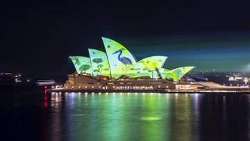 Vivid Sydney 2023 opening night