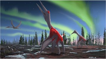 Cryodrakon boreas, a previously unknown type of pterosaur, was one of the largest flying animals that ever lived. 