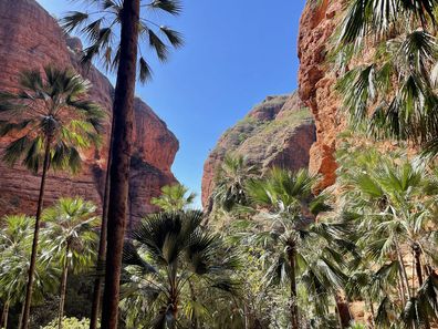 The Mini Palms walk is a must-do activity while in the park. 