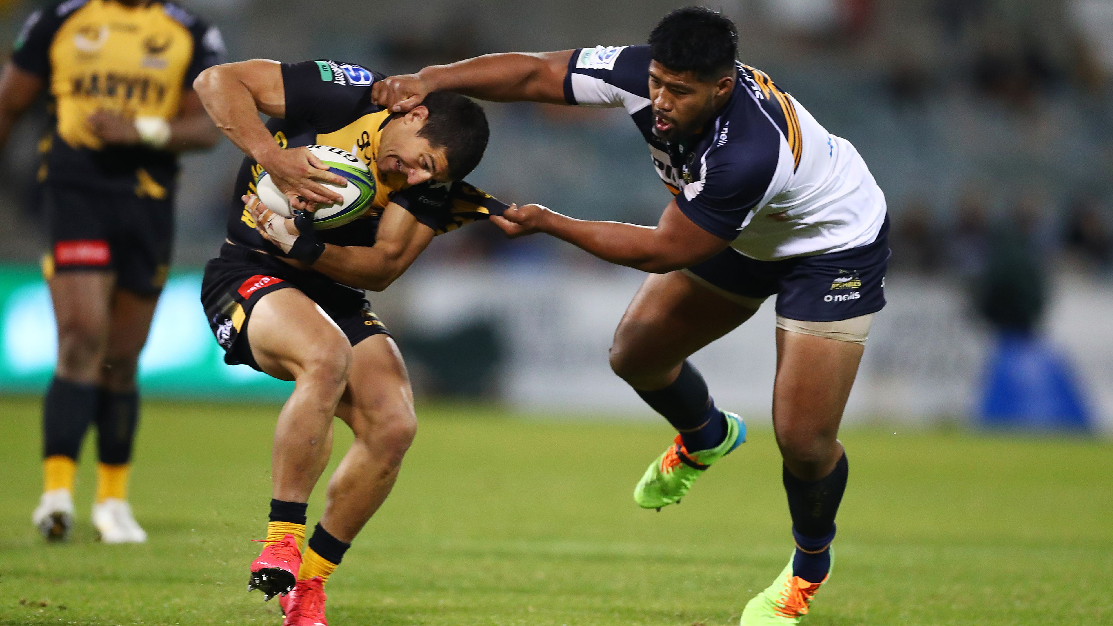 Rugby Western Force Sport News Headlines Nine Wide World Of Sports