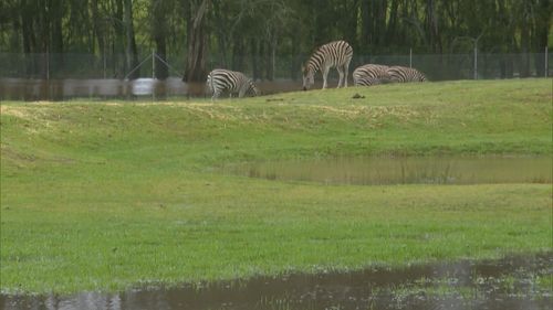 Flooding hits suburbs on the NSW South Coast.