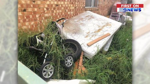 A pram overtaken by plants.