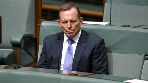 Tony Abbott was behind the leadership coup, Julia Banks has said.