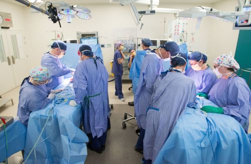 Up to 25 people worked on the surgery today at the Royal Children's hospital in Melbourne.