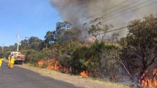 Rural Fire Service firefighters are battling a hazard reduction fire that has got out of control in Belrose. (Supplied, RFS)