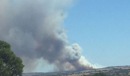 The Mosquito Hill fire has created a large volume of smoke. (9NEWS)