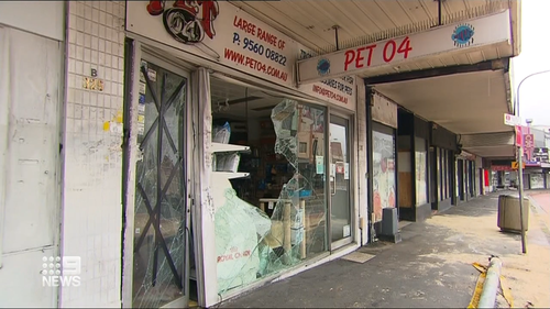 Video shows the Toyota Corolla lodging into a pet store on Parramatta Road in Leichhardt. 