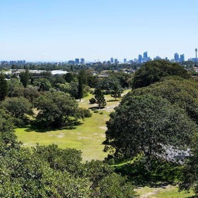 The median in Bondi Junction is $1.2 million but this went for $400,000