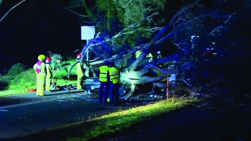 State Emergency Crews have responded to hundreds of calls across Australia's southeast with more rough weather expected this weekend.