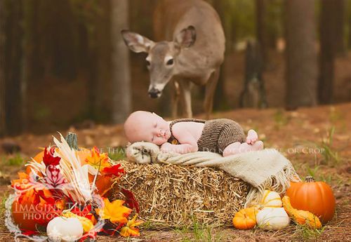 Parents gifted with stunning snaps after wild deer photobombs newborn photoshoot