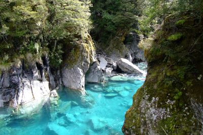<strong>The Blue Pools, Queenstown</strong>