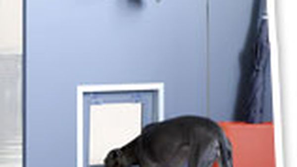 Diy Doggy Door 9homes